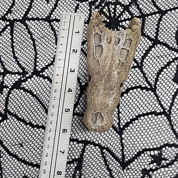 Crocodile Skull Fish Tank Aquarium Decoration - Picture 6 of 9